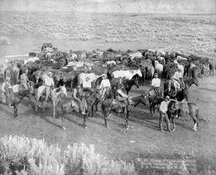 Gruppe von Cowboys und ihren Pferden, Sheridan, Wyoming, ca. 1890